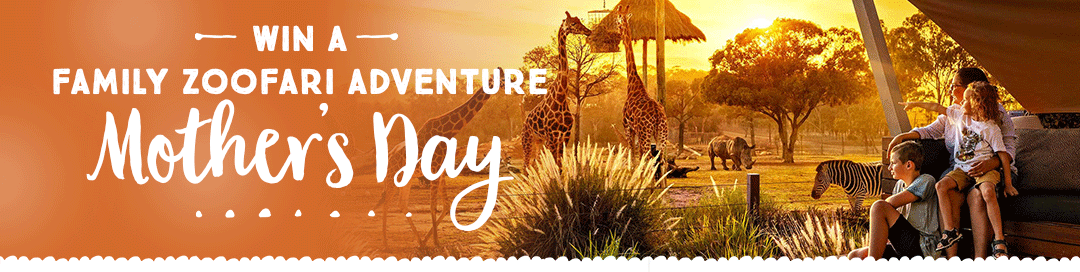 OCC_Web-Header-MumsZoofari Oscar Orange Cubs City